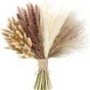 xin's convey 110pcs Dried Pampas Grass, (Vase Not Included),Dried Flower Bouquet, Reed Grass Bouquet for Boho Floral Home, Wedding Party Centerpiece, Rustic Farmhouse Decoration.(Brown)