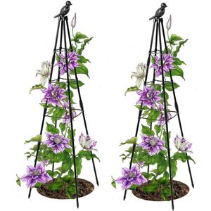 Trellis for Climbing Plants Outdoor, 2 Pack Plant Trellis Support for Climbing Vine, 63" Plant Support Tower Cages Plastic Coated Metal Pipe Supports for Outdoor Indoor, Potted Plants, Tomato cage