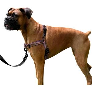 ShawnCo Dream Walk No-Pull Dog Harness- Adjustable, Comfortable, Easy to Use Pet Halter to Help Stop Pulling for Small, Medium and Large Dogs- Art Pattern Designs (Montana Daydream, M)
