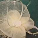 Cizoe Fascinator Hats for Women Tea Party Headband Kentucky Derby Wedding Flower Mesh Veil Fascinator (White)