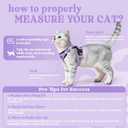 rabbitgoo Cat Harness and Leash for Walking, Escape Proof Soft Adjustable Vest Harnesses for Cats, Easy Control Breathable Reflective Strips Jacket, Light Purple, M