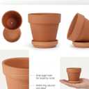 Riseuvo 4 Inch Terracotta Pots with Saucer – 6 Pack Small Clay Flower Pots with Drainage Hole for Succulents, Herbs, Indoor & Outdoor Plants, Wedding Favors