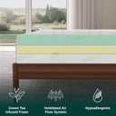 NapQueen Queen Size, 8 Inch Anula Green Tea Infused Memory Foam Mattress, Bed in a Box, CertiPUR-US Certified Mattress