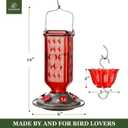 Kingsyard Glass Hummingbird Feeder for Outdoor Hanging, 24 Ounces, 6 Feeding Ports, Bird Nectar Feeder for Garden Dcor, Ant Moat Included, Red