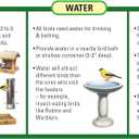 Wagner's 62034 Greatest Variety Blend Wild Bird Food, 6-Pound Bag (5.99 Pound (Pack of 1))