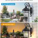 VIANIS Large Outdoor Wall Lights Dusk to Dawn, Black Outside Lights for House, Waterproof Outdoor Light Fixture for Porch, Entryway, Garden, Seed Tempered Glass, Vintage Style, Down Large 1PK