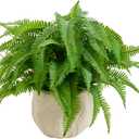 9'' Faux Boston Fern Potted  Small Artificial Plant in White Boho Embossed Planter for Tabletop, Home, Office, Bathroom, Indoor & Sheltered Outdoor Decor