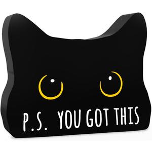 You Got This Funny office Acrylic Decor Sign Black Cat Decor Home Cat Decor for Home office Cat Lover Gifts For Women Men