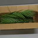 DILATATA 12PCS Artificial Palm Leaves Stems Tropical Faux Palm Foliage Greenery Picks Fake Palm Plants for Vase Wedding Bouquets Home Garden Indoor Outdoor DIY Decor