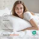 Hypoallergenic Bamboo Viscose Shell, Soft Standard/Queen Size Bed Pillows Set of 2 with Down Alternative Filling, Oeko-Tex Certified, Luxury Hotel Quality for Stomach, Back and Side Sleepers