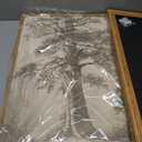 Vintage Tree Canvas Wall Art Framed Rustic Tree Landscape Sketch Antique Painting Neutral Forest Wall Decor 16x24 Inch Farmhouse Botanical Set of 3 for Living Room Bedroom