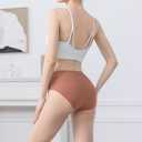 Womens Mid Rise Briefs Lightweight Underwear Stretchy Panties, 3 Pack (Brown)