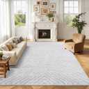 8x10 Area Rug for Living Room Washable Rug Non Slip Large Bedroom Rug Stain Resistant Dining Room Throw Contemporary Accent Carpet Ultra Soft Modern for Home Decor Office, Grey