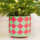 Pointnio 5 Inch Small Flower Pots for Indoor Outdoor Plants, Unique Resin 3D Checked Pink and Green Planters with Drainage Holes, Cute Plant Pots for Room Decor