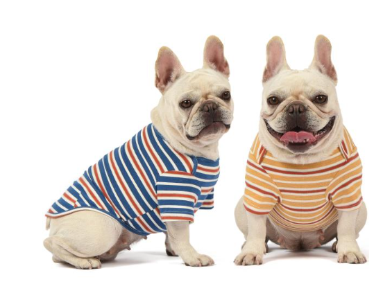 Knuffelen Dog Shirts Cotton Striped T-Shirt Summer Pet Clothes for Small Dogs 2-Pack Soft Puppy Apparel Cat Tee Breathable Stretchy Blue Yellow Multi-colored, Small