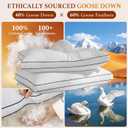 Premium Canadian Goose Down Pillow Queen Size Set of 2 Pack, 900+ Fill Power, 100% Cotton Shell, Luxury Hotel Quality Bed Feather Pillow for Side Back Stomach Sleepers(White,20" x 30")