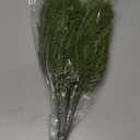 Alpurple 25 PCS Artificial Pine Branches-13.7 Inches Fake Greenery Plants Pine Sprigs-Faux Pine Leaves Picks for DIY Garland Crafts Christmas Embellishing and Home Garden Decoration (25PCS)