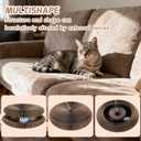 Old Version Magnetic Magic Organ Cat Scratcher Toy, Extra-Thick & Large Cardboard Cat Scratching Board Toy with Bell Ball, Interactive Enrichment Toy for Indoor Cats & Kittens