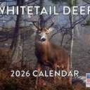 Whitetail Deer Calendar 2026 White Tail Hunting Gifts for Hunters Men Monthly Wall Calender 12 Month | American Made In The USA