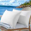 LBRO2M Canadian Luxury Goose Down Pillow 900 Fill Power 80% Goose Down 20% Goose Feather with 600TC 100% Cotton Pillow Shell Queen Down Pillows Ideal for Plush Comfort and Support (20"X30" Set of 2) (White)