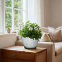 Ceramic Flower Pots, 8 Inch Pots for Plants Indoor, Crackle Green | Round Plant Pot Indoor with Drainage Hole and Saucer, Modern Decorative Planter, Bedroom Decor, Gardening Gifts