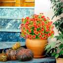 Artificial Flowers for Outdoors, Fall Mums UV Resistant for Thanksgiving Days, Fall, Home Decoration12 Bundles, Orange Green