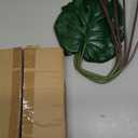 6 Pack Artificial Monstera Leaves with Long Stem for Vase - Fake Tropical Plants Palm Leaves Realistic Philo Turtle Leaves for Home Wedding Party Decor - Small