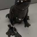 Resin Frog with Gold Crown, Patina Finish