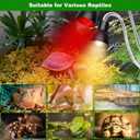 Heat Lamp for Reptile,UVA UVB Light for Turtle,Bearded Dragon Basking Light Bulbs,Dimmable 360Gooseneck UV Heating Lamp W/ G9 Mini Halogen Bulbs 60W (White*2Red*2) for Tortoise/Snake/Lizard