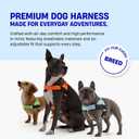 Dog Friendly Co. Dog Harness | Chafe Resistant Webbing, Adjustable Neck & Chest, and Heavy Duty D-Ring | Sturdy, Comfortable, Easy to Use | Sky Blue, Size L