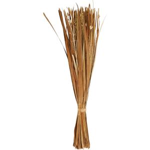 Deco 79 Dried Plant Natural Foliage, 9" x 6" x 41", Brown