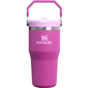 STANLEY IceFlow 2.0 Flip Straw Tumbler with Handle 20 oz | Twist On Lid and Flip Up Straw | Leakproof Water Bottle | Insulated Stainless Steel | BPA-Free | Dark Blossom