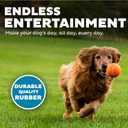 Outward Hound Squeaker Ballz Squeaky Tennis Balls for Dogs 50 lbs and Over, Interactive Dog Toy for Fetch & Training, Large (3"), 2-Pack