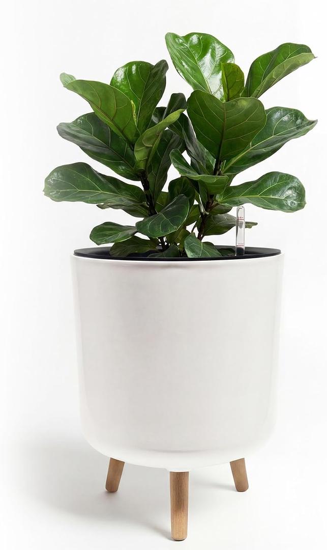 Bamworld Self Watering Pots for Indoor Plants with Water Level Indicator 12 inch Plant Pot Plastic Planter with Wooden Stand for Outdoor Plants Modern Dcor for Porch Patio White Large