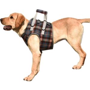 ROZKITCH Dog Lift Harness, Grid Pet Chest Support Aid Veterinarian Approved Sling for Old K9 Help with Poor Stability, Front Legs Disabled Joint Injury Elderly Arthritis ACL Rehabilitation Rehab (Large)