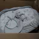 Graco Simple Sway Swing, Ivy
