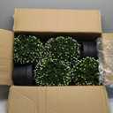 24in Artificial Boxwood Topiary Tree 2 Pack, Artificial Boxwood Double Ball Topiary Trees, UV Resistance Rated Faux Topiaries Tree, Fake Greenery Plants Ball Tree for Porch,Home,Garden (Osmanthus Leaves-2pcs)