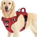 SlowTon No Pull Dog Harness, Heavy Duty No Choke Pet Harness with 2 Leash Clips and Easy Control Vertical Handle, Adjustable Soft Padded Dog Vest for Small, Medium and Large Dogs (Red, Large)