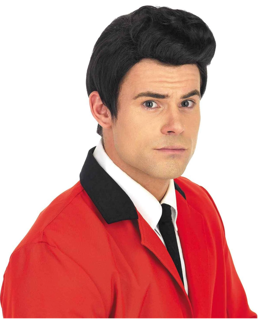 fun shack 50's Men's Black Wig with Sideburns, 1950s Costume Wig for Men, Retro Black Wig for Boys, One Size