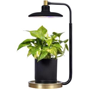 AeroGarden Tabletop Grow Light for Indoor Plants, Grow Live Plants Anywhere in The Home, Adjustable Light Modes, Black