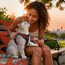 rabbitgoo Cat Harness and Leash for Walking, Escape Proof Soft Adjustable Vest Harnesses for Cats, Easy Control Breathable Reflective Strips Jacket, Black & Red, Medium
