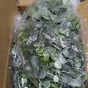 Sggvecsy Artificial Eucalyptus Garland 4 Pack Fake Eucalyptus Greenery Garland Faux Hanging Plants Artificial Vines, 5.6 Feet/Strand for Wedding Backdrop Arch Wall Table Party Outdoor Festival Decor