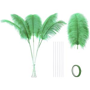 Ballinger Green Large Ostrich Feathers - 12pcs 24-26inch Feathers Making Kit Ostrich Feathers Bulk for Vase,Wedding Centerpieces,Mardi Gras Party and Home Decor (24inch Feathers Kit, Grenn)