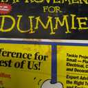 Home Improvement For Dummies