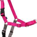 PetSafe Easy Walk Harness for Dogs - Pull-Free Walks - Patented Martingale Loop Design - Front Chest Leash Attachment - Adjustable Comfort Straps - Breathable Harness Design - Medium, Raspberry/Gray