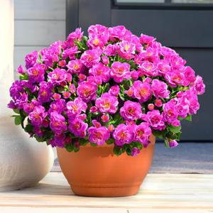 4 Large Bundles Artificial Flowers for Outdoors, Artificial Faux Plants Outdoor, Faux Flowers for Outdoor Planters, UV Resistant Realistic Camellia Silk Fake Flowers for Outside,Spring Porch Decor