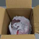 Owala FreeSip Sway Insulated Stainless Steel Water Bottle with Two-Way Spout, Built-In Straw and Bucket Handle, Made for Travel, School, and Sports, 30oz, BPA Free, Leak Proof, Black Cherry