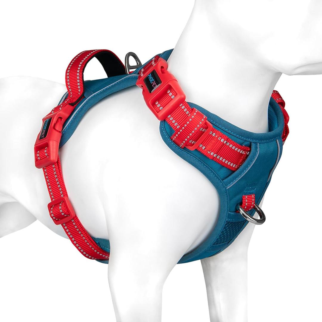 PHOEPET No Pull Dog Harness, Unique Colors Reflective Adjustable Dog Vest, with Soft Training Handle Metal Clips for  Dogs (Teal Base & Red Straps,L)