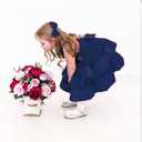 AIMJCHLD 0-6T Baby Girls V Backless Flower Dress Pageant Party Wedding Gown Dresses with Hair Bow (Blue, S/80)