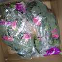 Artificial Fake Flowers Plants for Outdoor Decoration, 2PCS Faux Petunias Silk Flower UV Resistant No Fade Floral for Home Outside Garden Balcony Yard Porch Realistic Indoor Decor (Fuchsia Lotus)